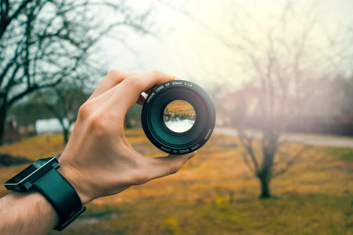 The Art of the Perfect Shot: Techniques and Tips for Aspiring Photographers preview image