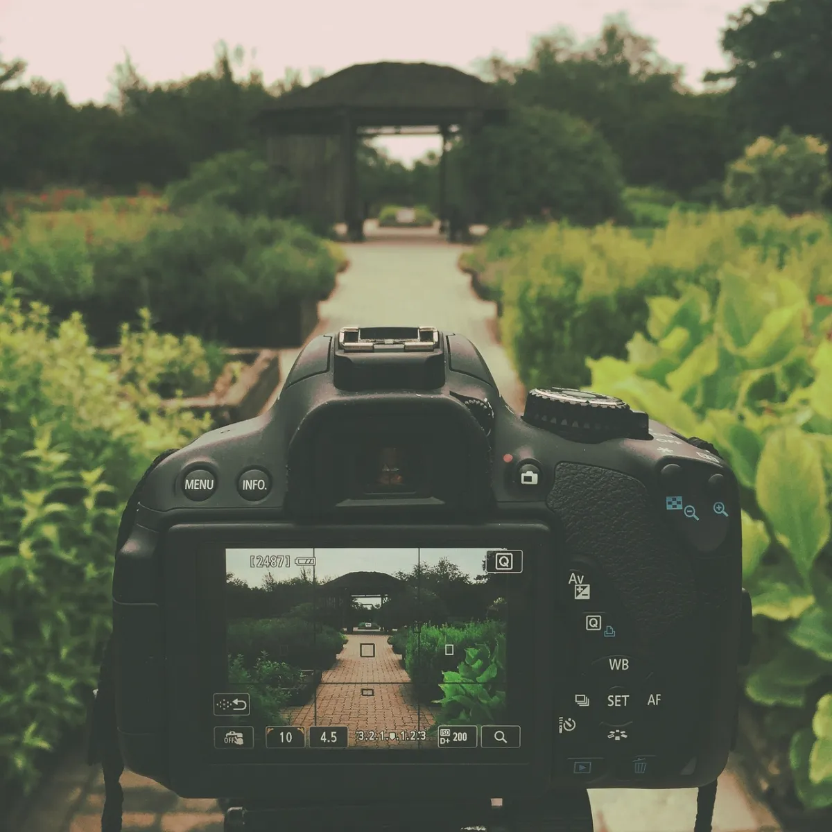 Autofocus vs Manual focus in photography: How to make the right choice. preview image